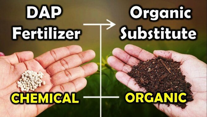 What is DAP