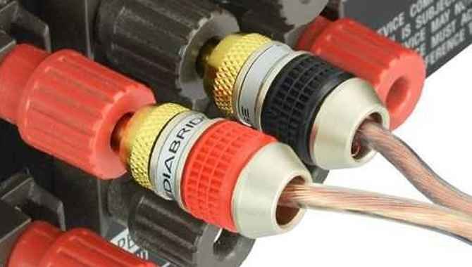 Which Type Of Banana Plugs Is The Productive